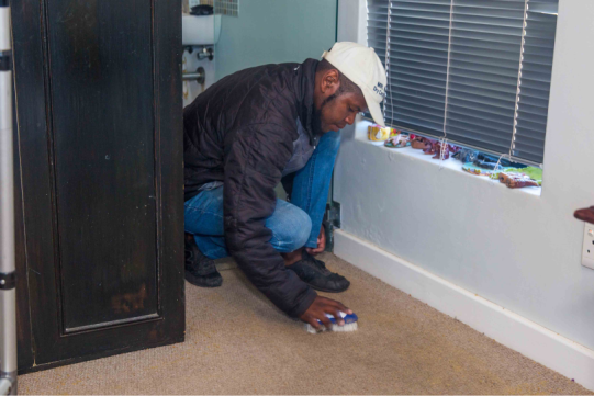 Dry Carpet Cleaning