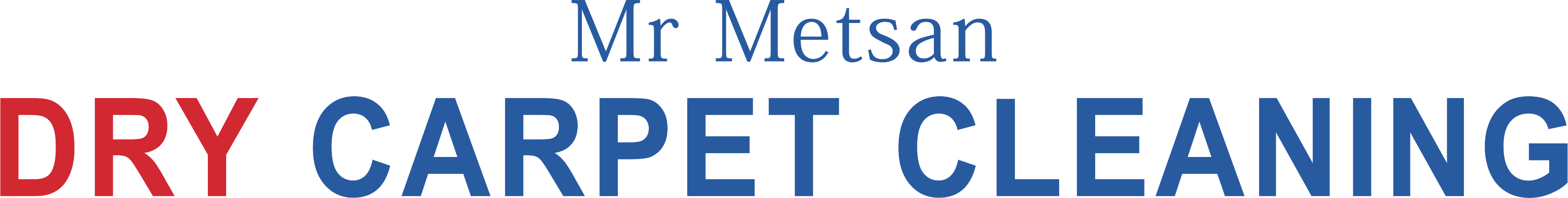 Mr Metsan Logo